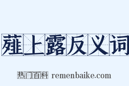 薤上露反义词是什么意思的图片